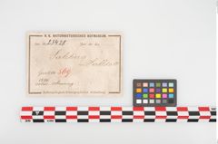 Etikett zu Bronzearmreif (NHMW-PRAE-025428)